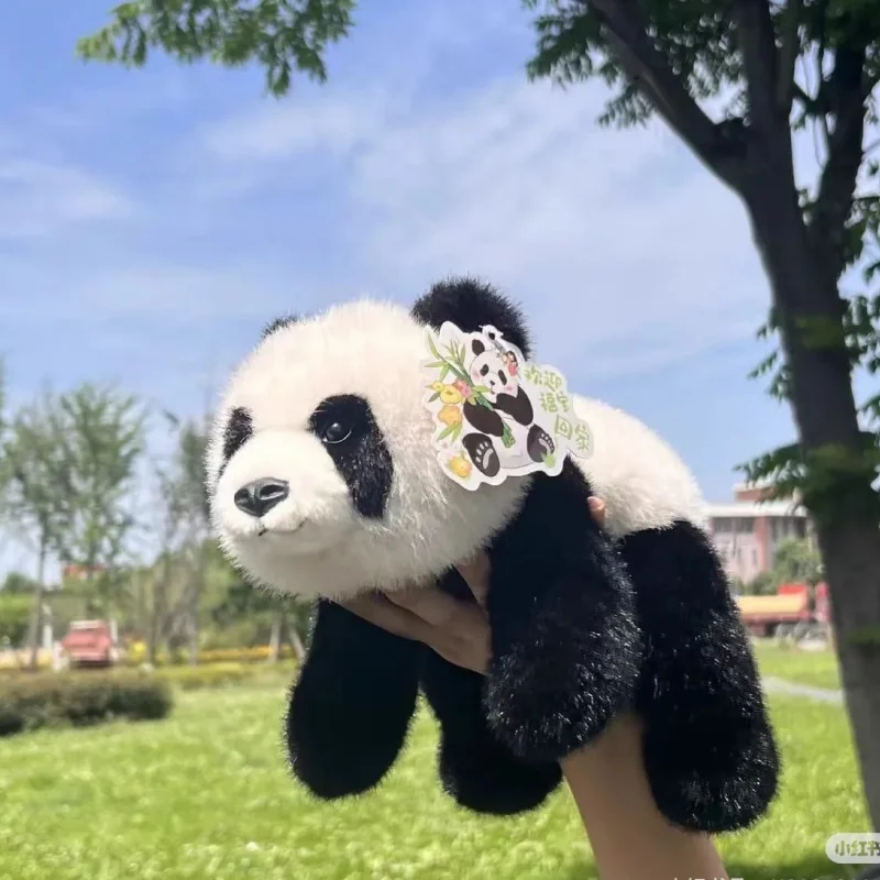 

Long Arm Animal Weighted Stuffed Animal Soft Lazy Fluffy Plush Animal Plush Raccoon Koala Bear Giraffe Stuffed Plush Soft Pillow