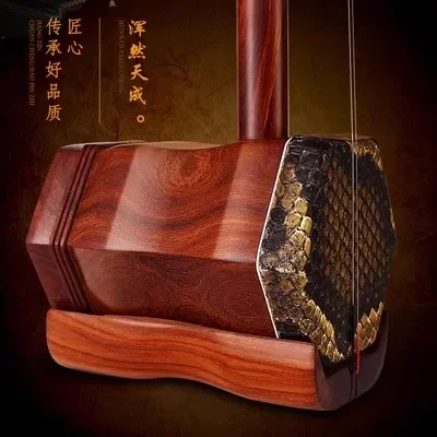 Erhu instrument performance for beginners, commonly known as Redwood Erhu and Red Sandalwood