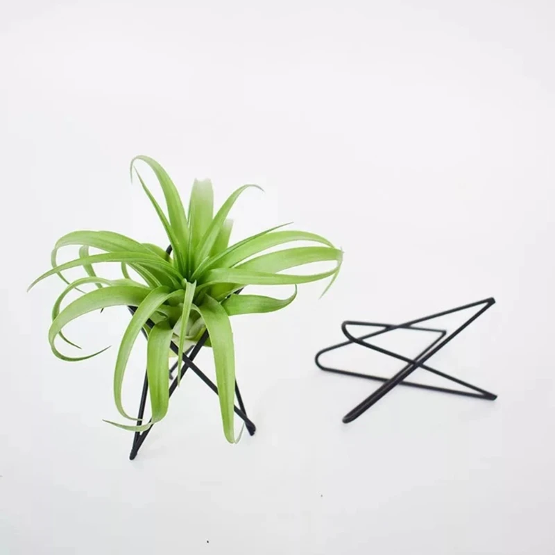 Phong Cách Bắc Âu Không Vật Có Giá Đỡ Kim Loại Hoa Đứng Hình Học Sắt Tillandsia Giá Đỡ Nghệ Thuật Màn Hình Khu Vườn Nhà Đồ Trang