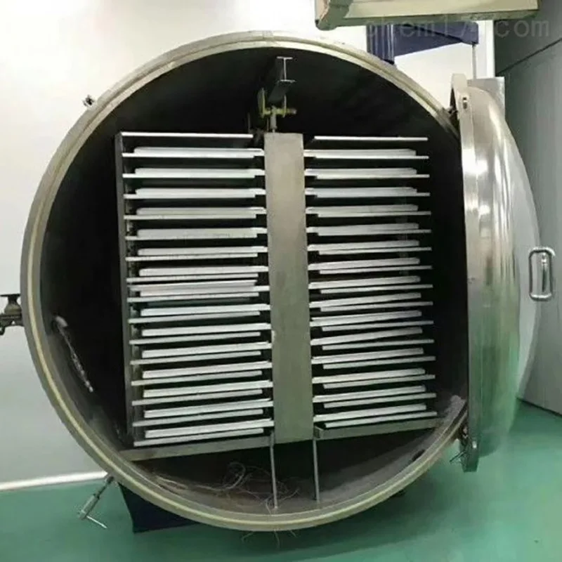 

5-250 Square Meter Vegetable Fruit Vacuum Drying Equipment Large Freeze Dryer For Food And Medicine