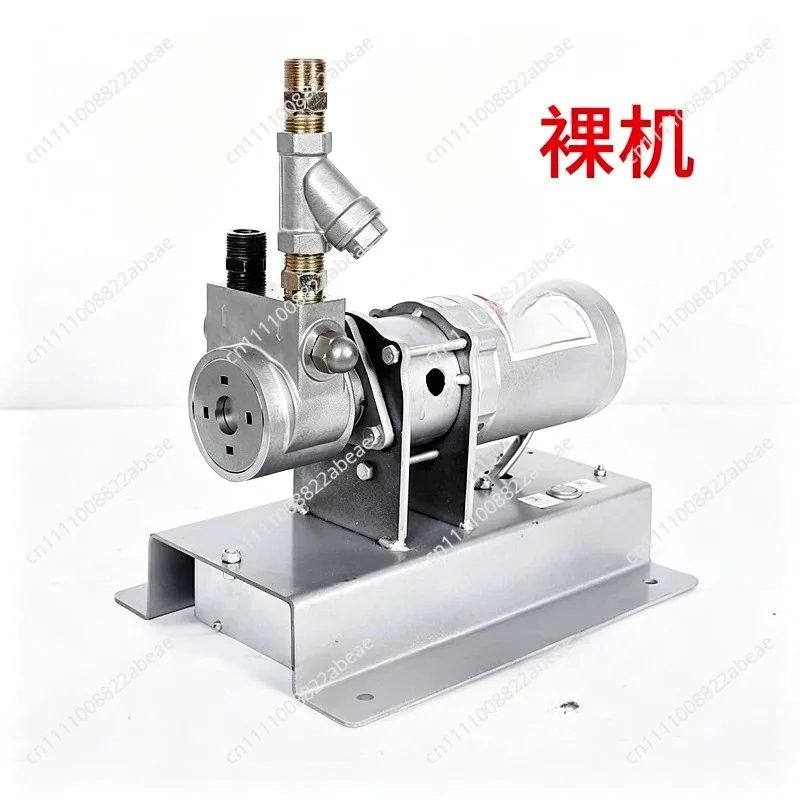 12V Liquefied Gas Air Pump Pour Pump 12 Volts