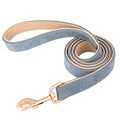 Blue Leash