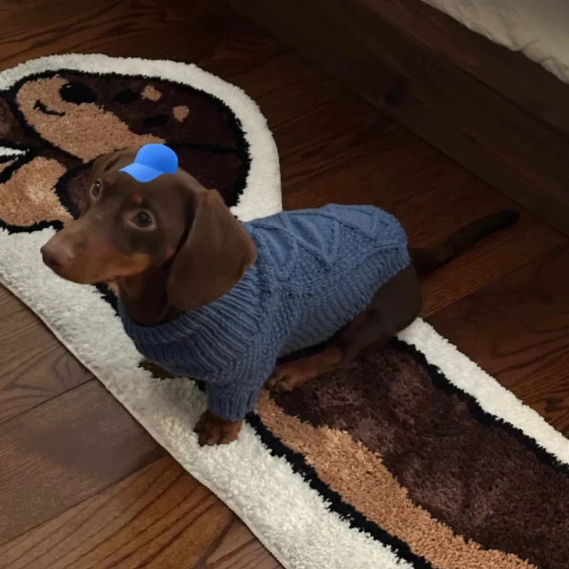 Cute Dachshund Dog Carpet Stain Resistant Imitation Cashmere Carpet Living Room Sofa Children's Room Bedside Mat Home Decoratio