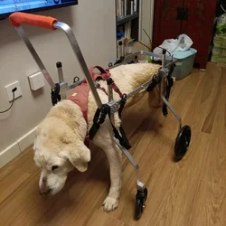 Dog Limb Auxiliary Brace for Paralysis Power Walking Wheelchair for Medium & Large Dogs 4-Wheel Support for Disabled Pets