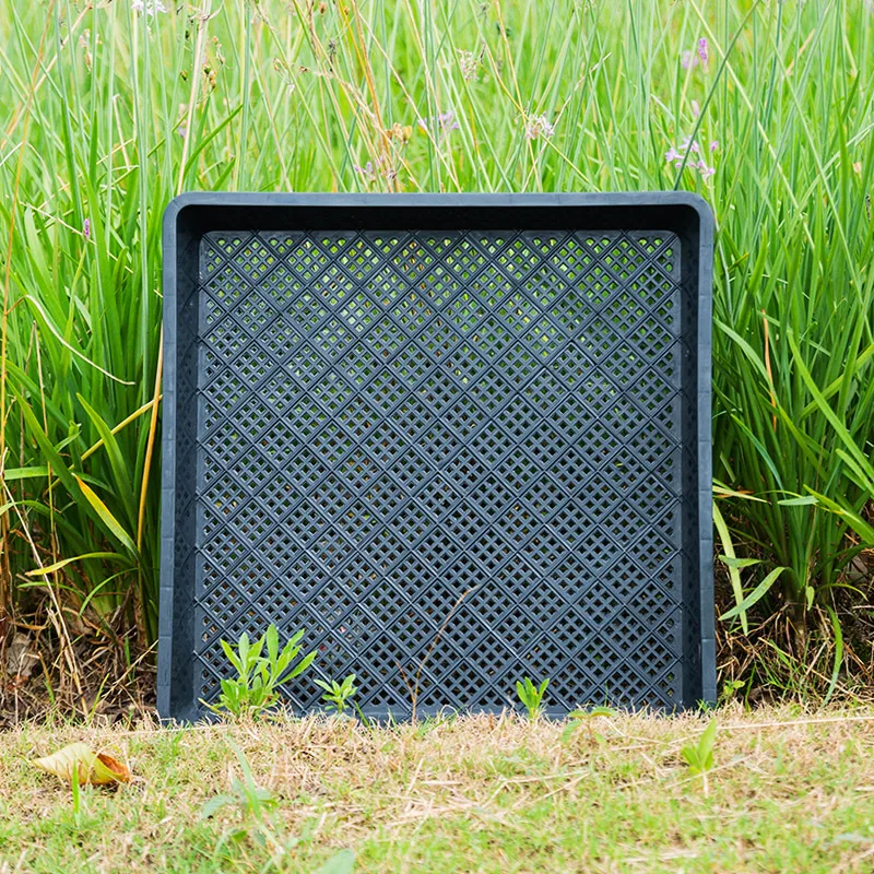 

Rectangular Square Seedling Trays for Sprout Dendrobium Maca Raising Plant Nursery Trays - Greenhouse Gardening Supplies