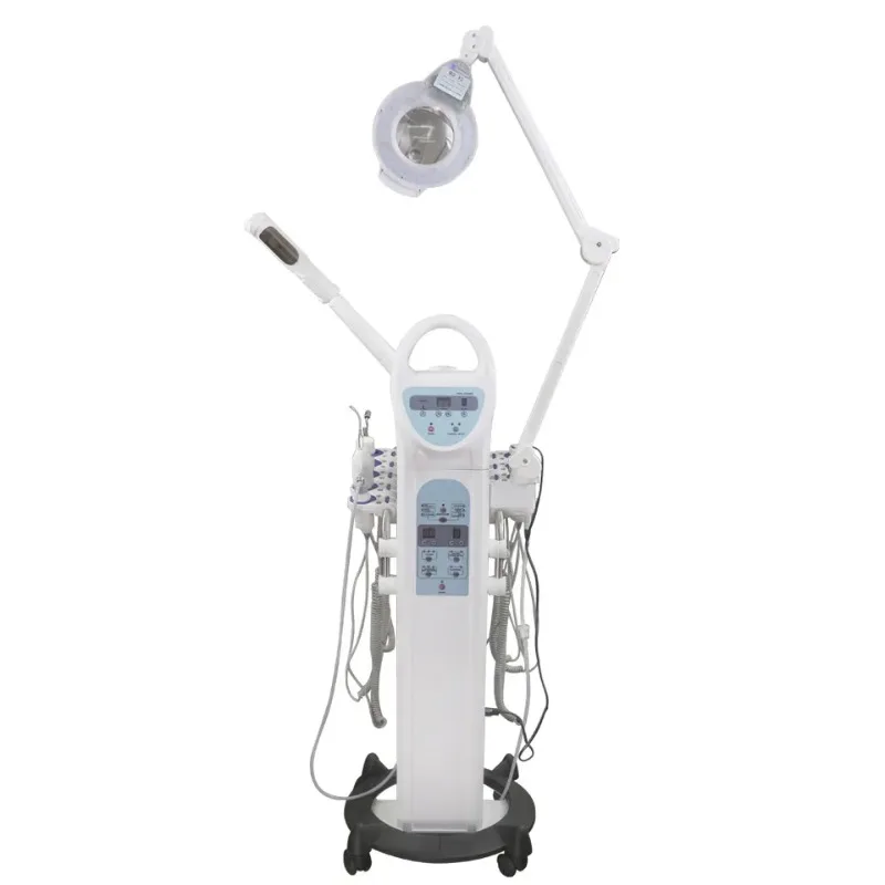 

Steamer Magnifying Skin Rejuvenation Skin Scrubber 10 in 1 Multifunction Facial Beauty Machine