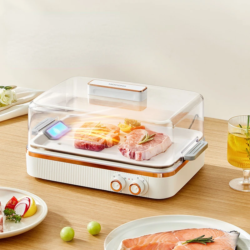5L Capacity Household Constant Temperature Rapid Ice Thaw Master PTC Heating Food Defroster Frozen Meat Steak Rapid Thawing Tray