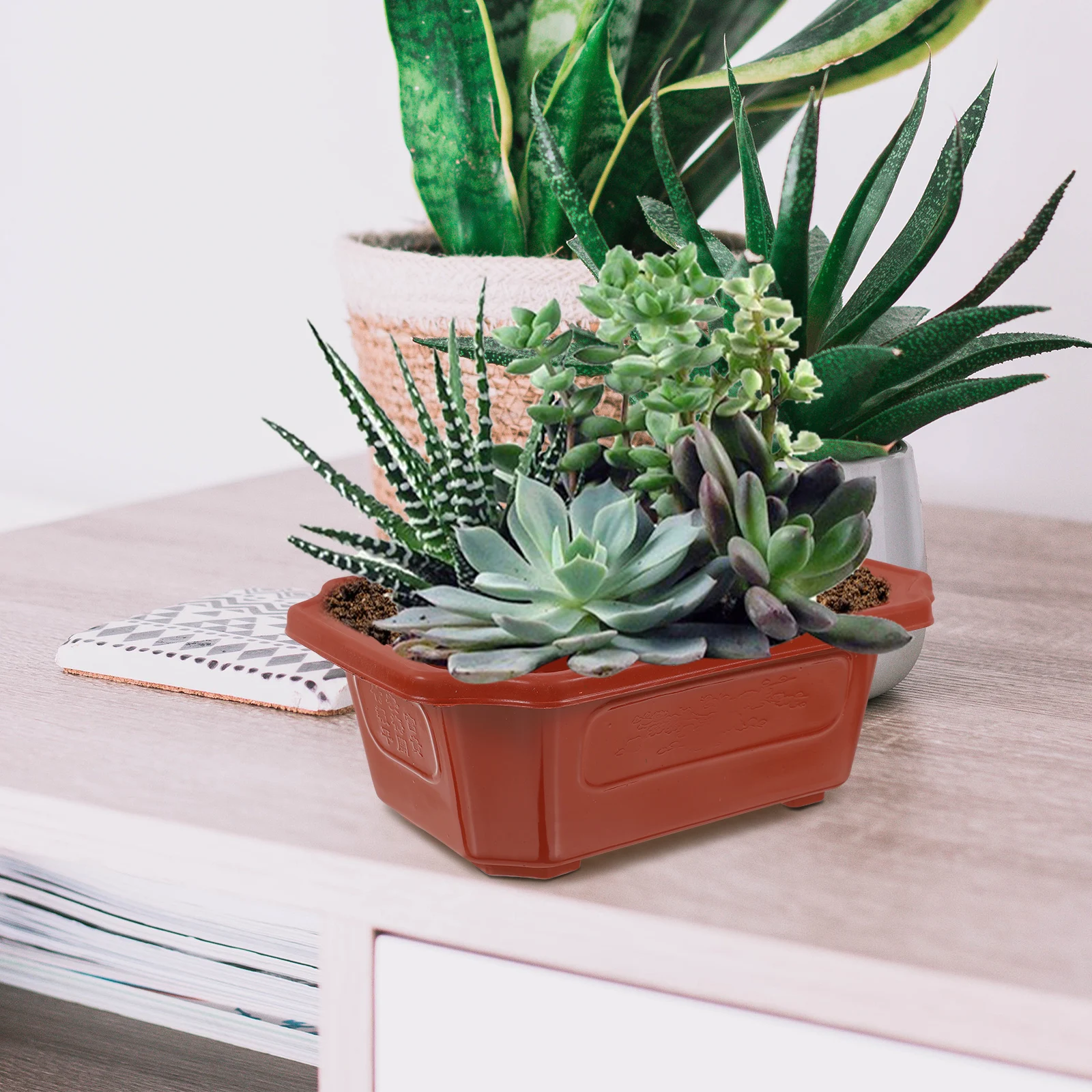 

10 Pcs Bonsai Pot Classic Plastic Growing Container Lightweight Practical Indoor Office Flowerpot Planting Garden