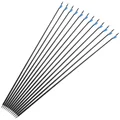 12pcs Blue