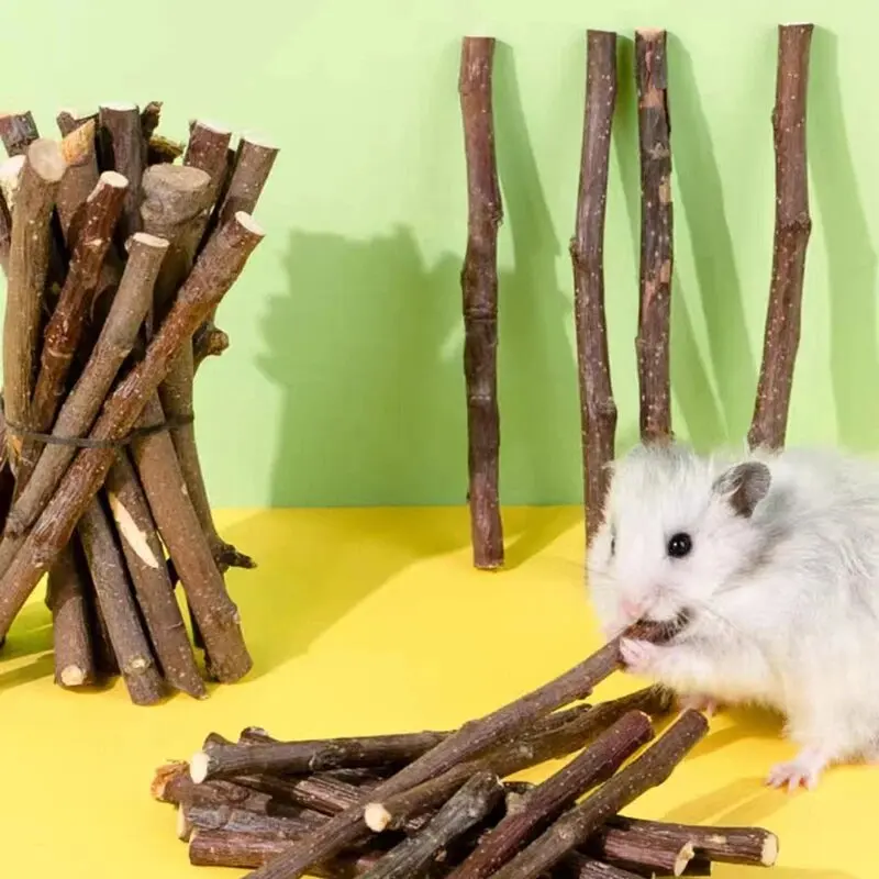 100/200/300g hámster conejo dientes molienda manzana árbol palo minerales Molar juguetes de piedra para Chinchilla hámster accesorios para mascotas nuevo