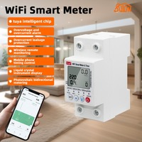 Tuya Smart WiFi Circuit Breaker Switch 63A 2P Earth Leakage Overvoltage and Undervoltage Protector Energy Meter Power kWh Meter