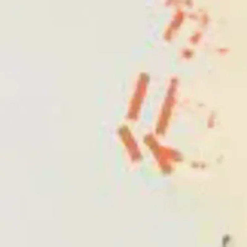 Gloves For Women In Winter Cute Plush Thickened Rabbit Fur To Keep Warm And Furry Student Riding To Prevent Cold And Freezing