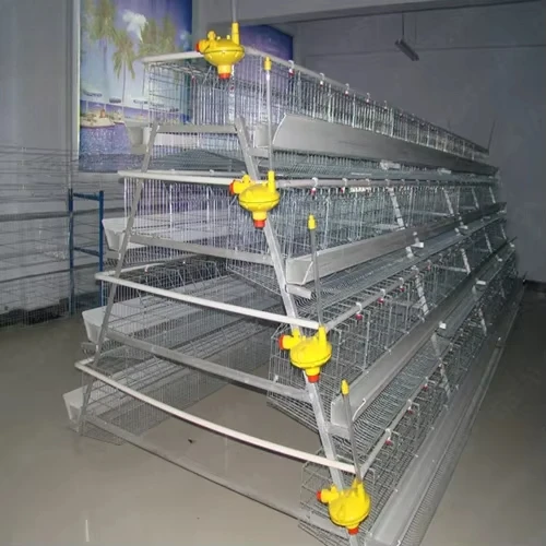 A-Type Hot Dipped Galvanised Fully Automatic H Type Chicken Cages System for Layer Chicken