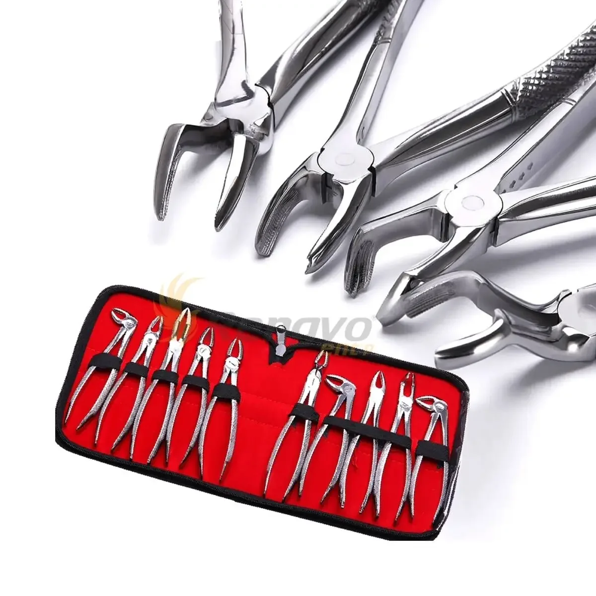 Dental extraction, medical stainless steel extraction forceps, minimally invasive materials and instruments for oral use