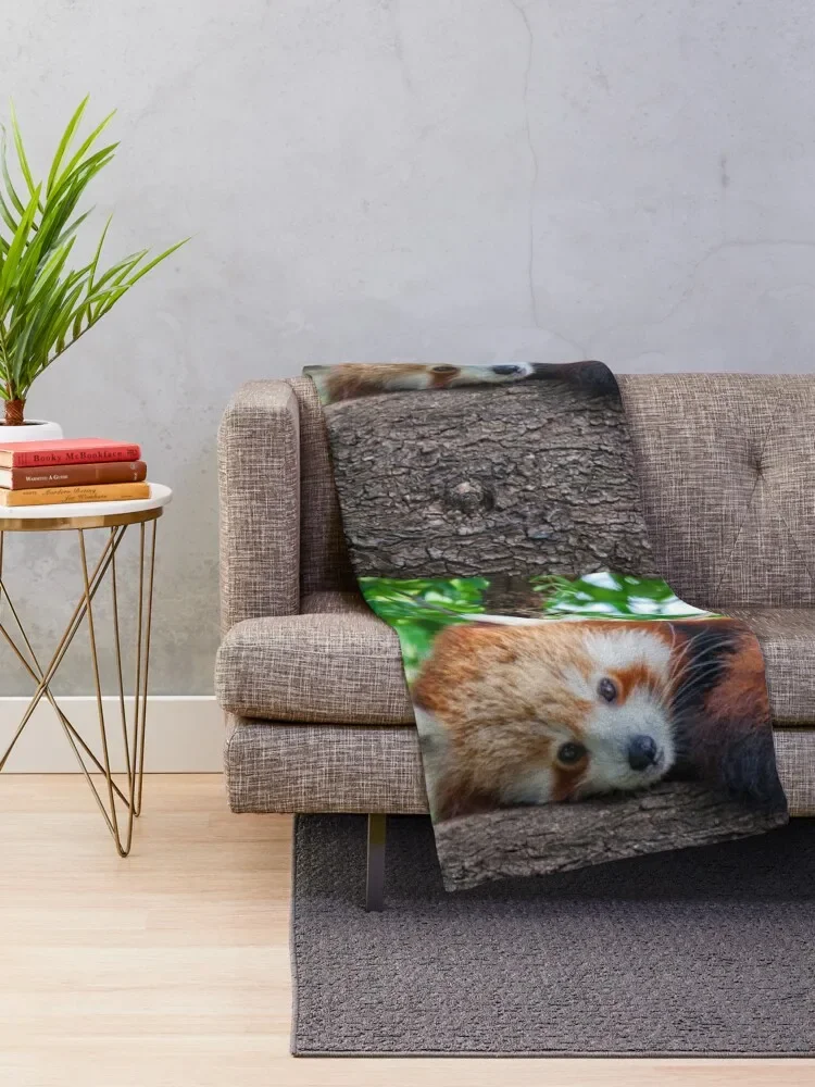 Red Panda Pose Throw Blanket Giant Sofa Extra Large Throw Blankets