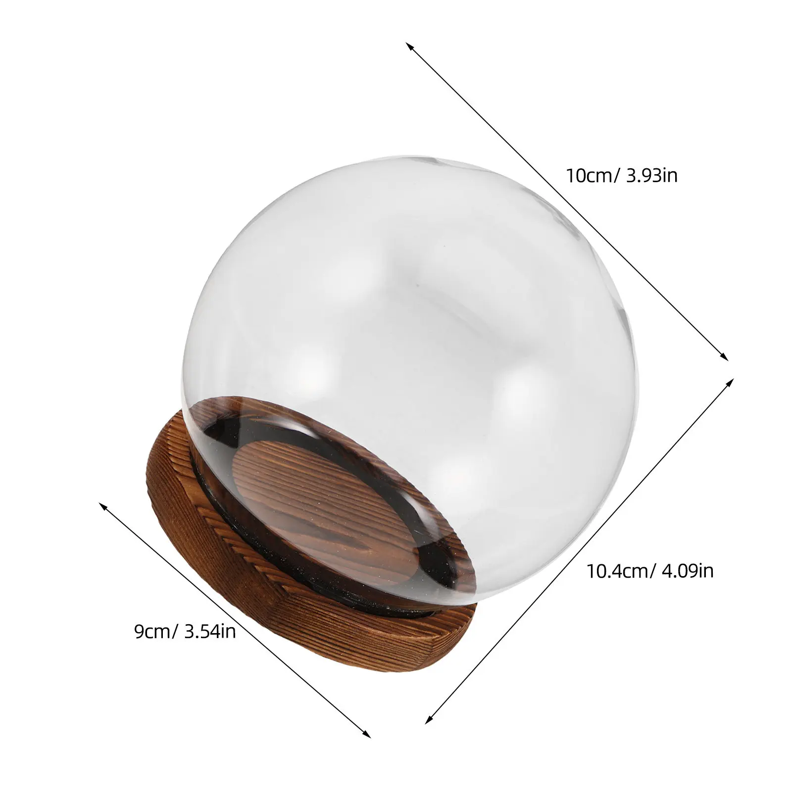 Glass Dome Cloche Bell Jar for Preserved Flowers – Transparent Dustproof Display Case, Crystal Clear