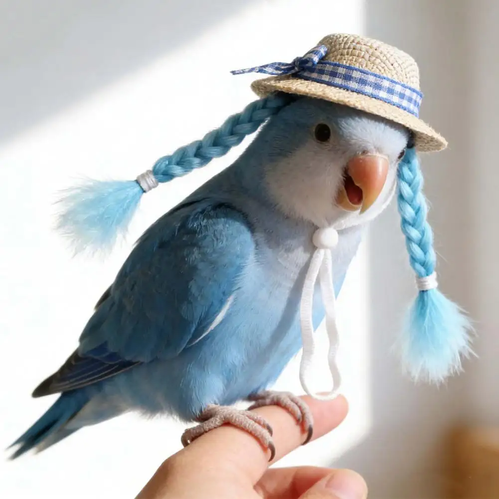 Small Hat Cute Pet Hat Hamster Sun Hat with Double Braids Elastic Strap Adjustable Small Pet for Budgies Roosters Guinea Pigs