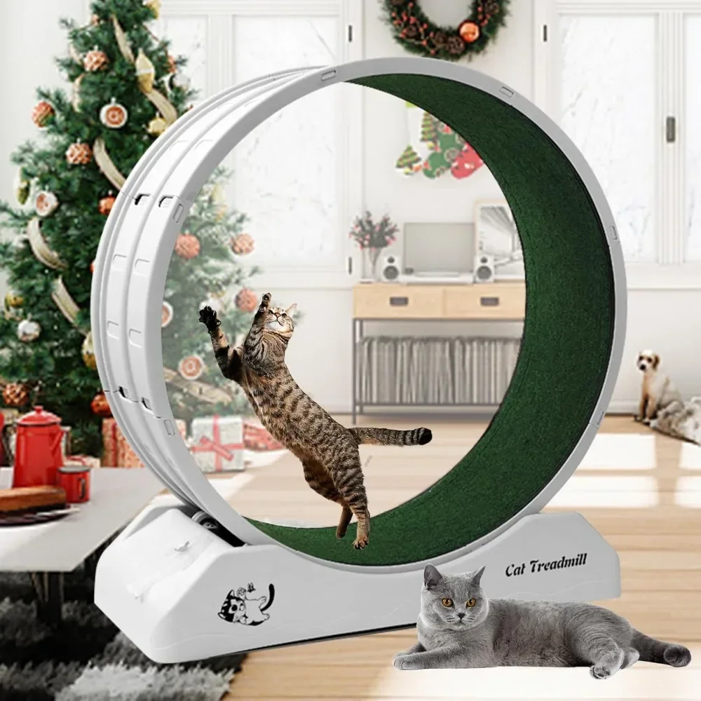 

Cat Exercise Wheel Cat Wheels for Indoor Cats, Cat Running Wheel with Carpeted Runway Treadmill Wheel Exerciser Fitness Weight