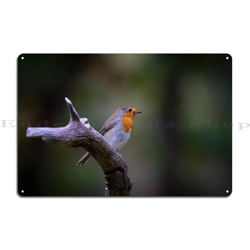 European Robin Bird In The Metal Plaque Poster Wall Mural Create Cave Party Living Room Tin Sign Poster