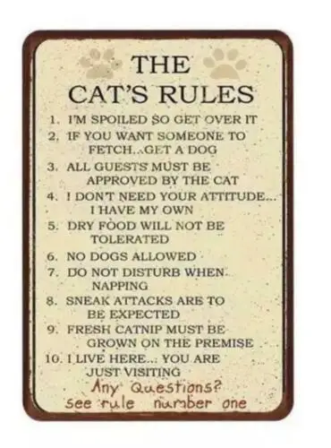 Metal Plate Sign Cat House Rule No Dog Spoil Warn wall Bar Home Decor Gate Tin sign