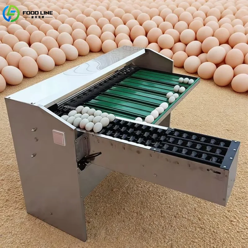 

Автоматическая машина для сортировки и очистки яиц на 5400 шт./час, мини-сортировщик яиц по размеру