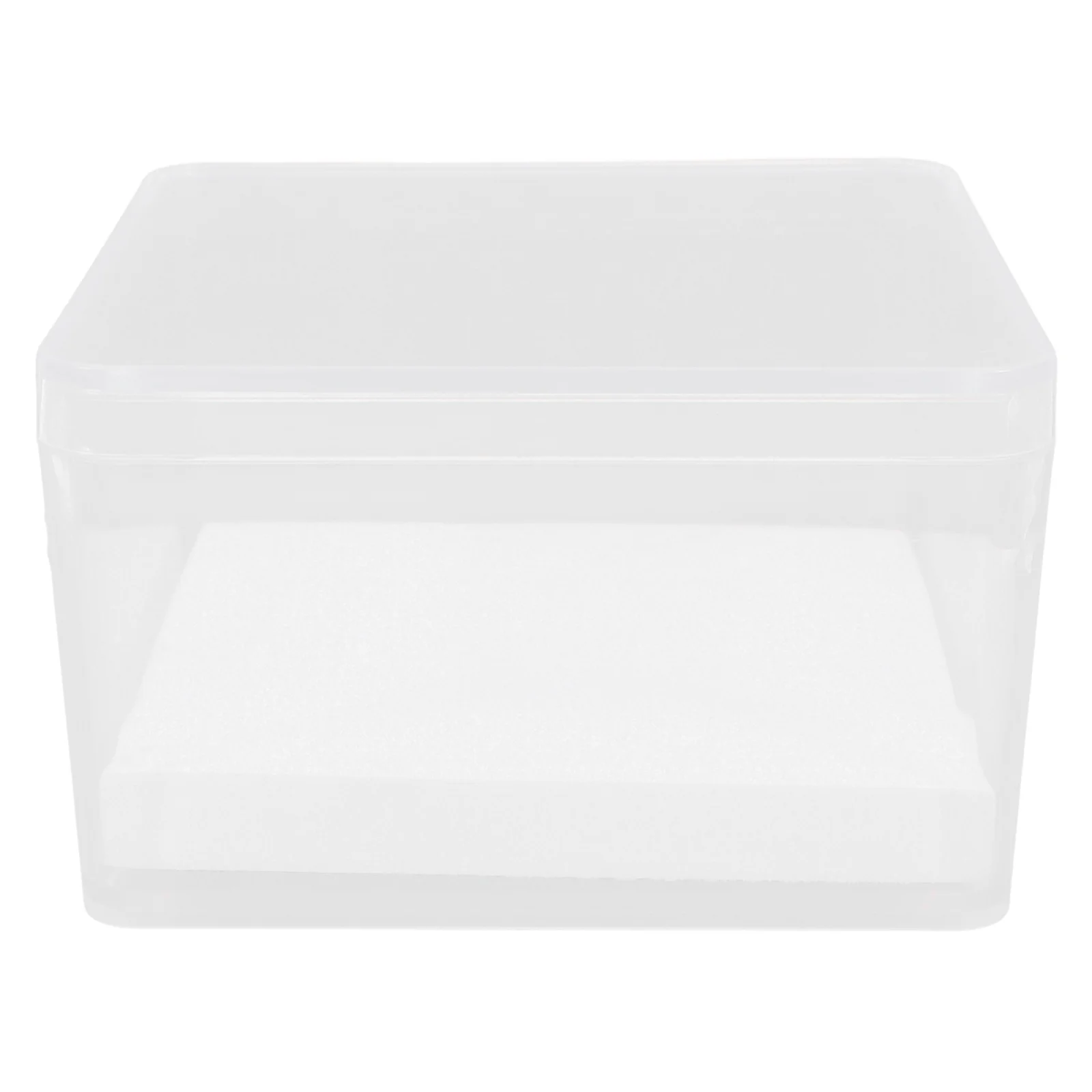 

1Set Transparent Insect Display Case Mini Specimen Box for Entomology Hobbyists Clear Mini Pinning Display Container