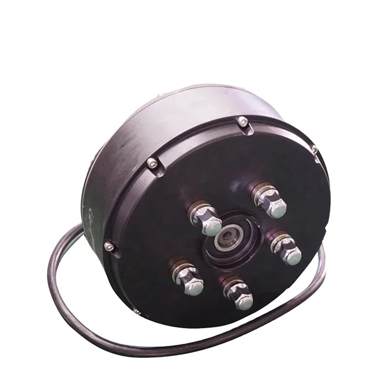 

2000W Single Shaft Hub Motor BLDC Type V3 205 50H for Electric and Golf Cars Commutation Brushless