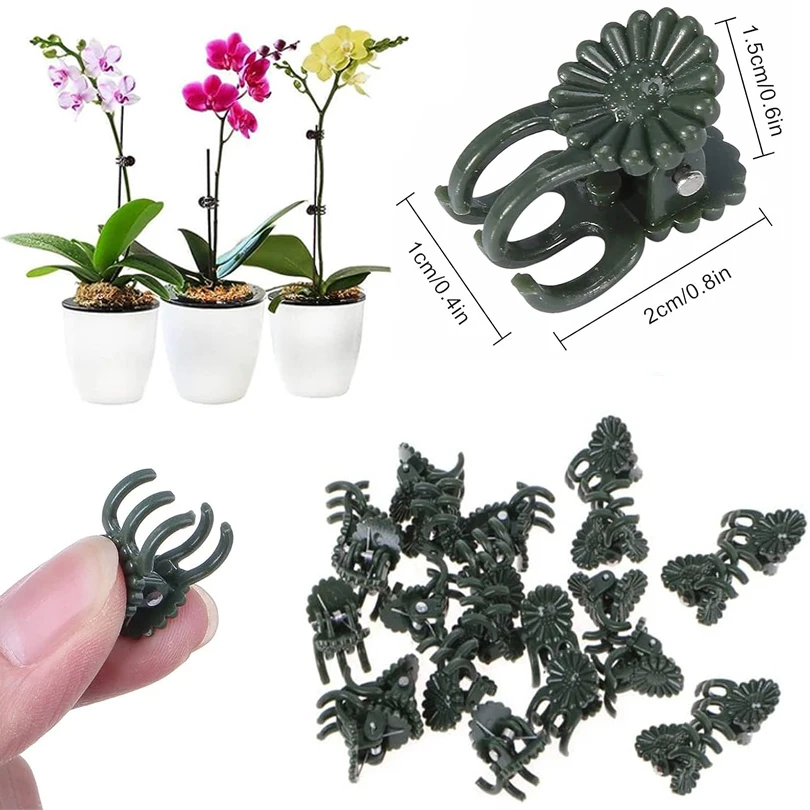 Clipes de plantas verdes escuras, Orquídea Flores Suporte Clamp, Escalada Videira Stem Fecho, Amarrado Bundle Branch, Ferramenta de jardim, 6-Claw, 50 pcs, 100pcs