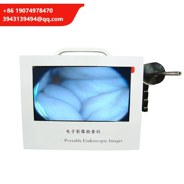 Endoscope Ear Nose Throat Digital Video Otoscope 9 Inch Color LCD Display Medical Equipment