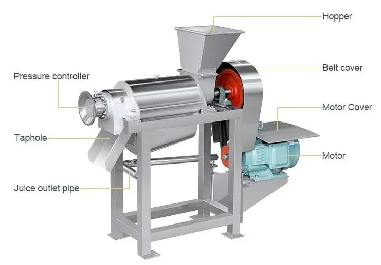 Automatic Citrus Juicer Orange Juice Maker Machine Industrial Juice Manufacturing Equipment Calamansi Juice Extractor Machine
