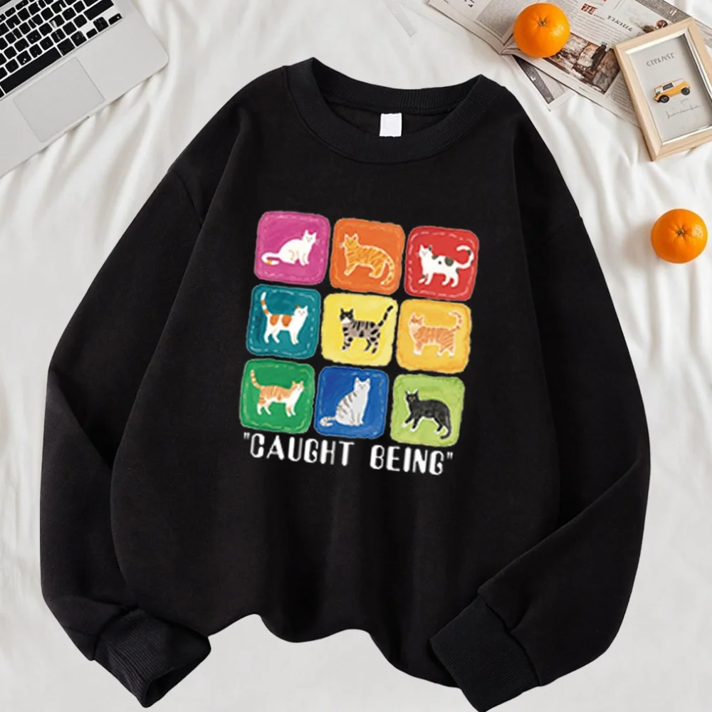 

Cat Nine Palace Grid Cartoon Printing Sweatshirt Man Y2K Fleece Pullovers All-Match Trendy Tops Casual Loose Sportswear