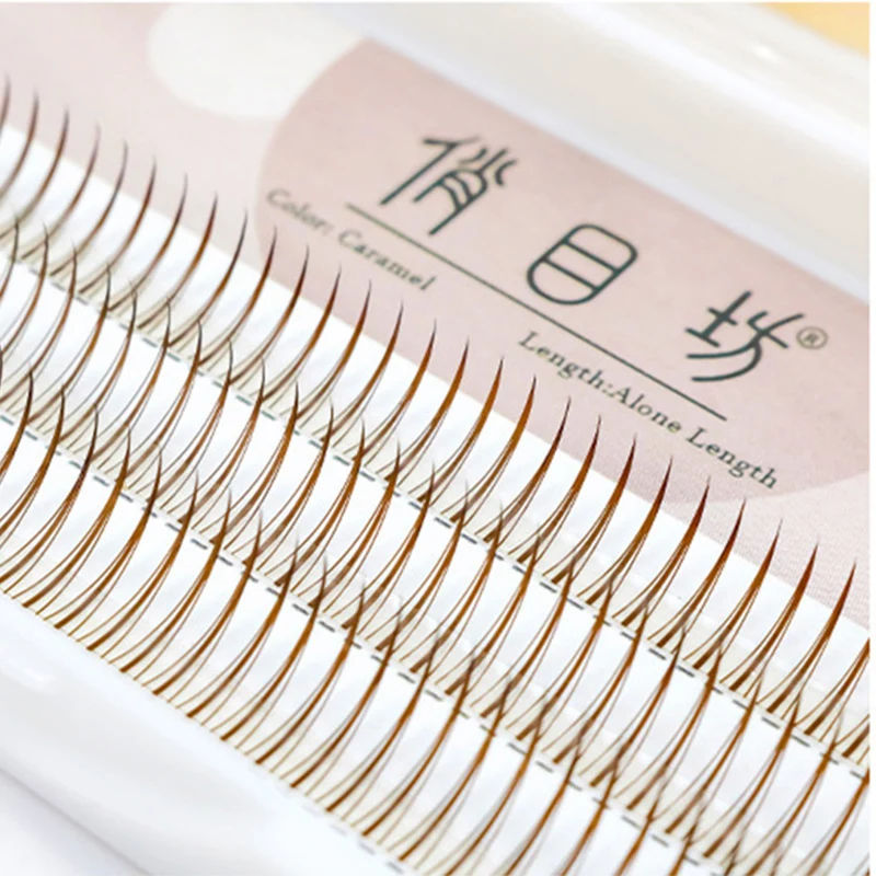 8-12mm A-Typ Braune Einzelwimpern-Cluster, Weiche Natürliche Feenwimpern, Schwarze Wimpern für Koreanischen Make-up-Look