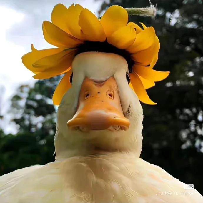 

Myoslim Новый настольный RF машина для коррекции фигуры Роликовый аппарат для уменьшения жира и магнитного похудения EMS для коррекции фигуры и похудения Белый