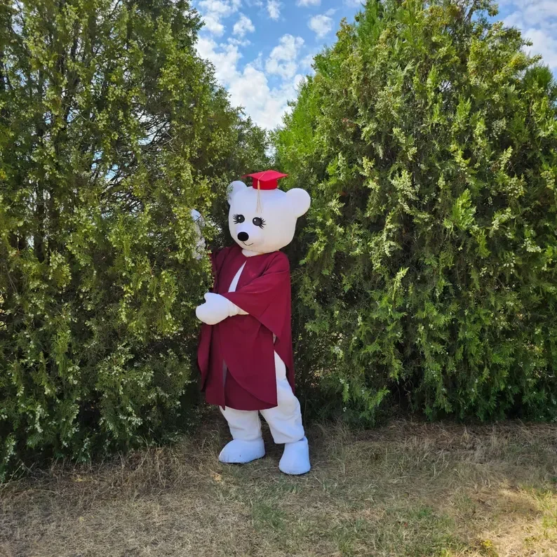 ملابس التخرج على شكل دب البكالوريوس للإعلان عن عرض أزياء حفلة كرنفال المشي - بدلة الدب