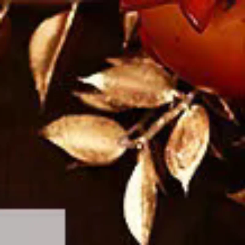 

6Pcs Red Envelope New Year Red Pocket Chinese New Year Red Envelopes Red Bag Spring Festival Marriage Birthday Red Envelopes