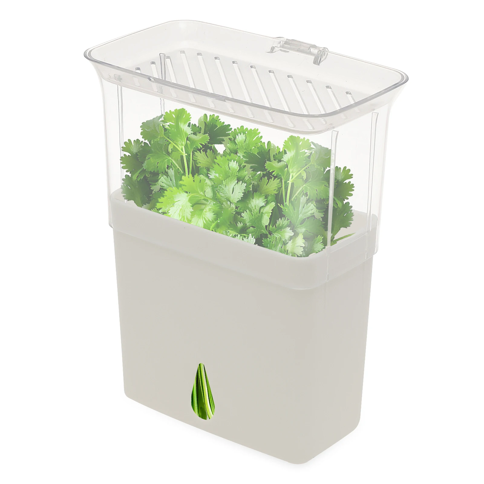 Contenedor de almacenamiento transparente para ahorro de hierbas, contenedor hermético para hierbas frescas, para refrigerador, caja de almacenamiento de granos de vainilla y verduras, conservante de hierbas