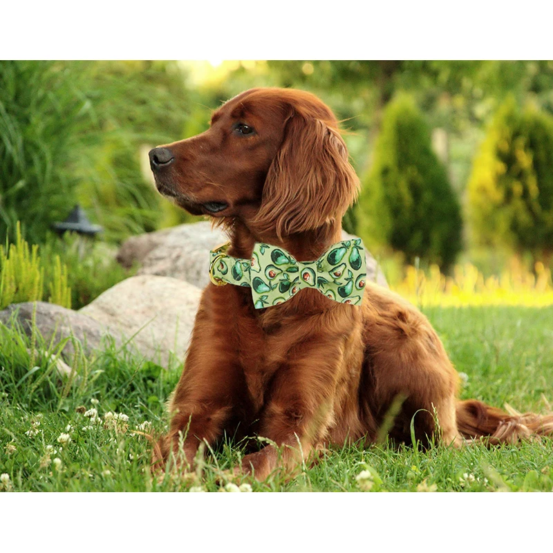 Unique Style Paws Personalized Green Dog Collar Summer Avocado Dog Collar with Bow Tie Pet Dog Collar for Large Medium Small Dog
