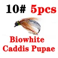 caddis pupa biowhite