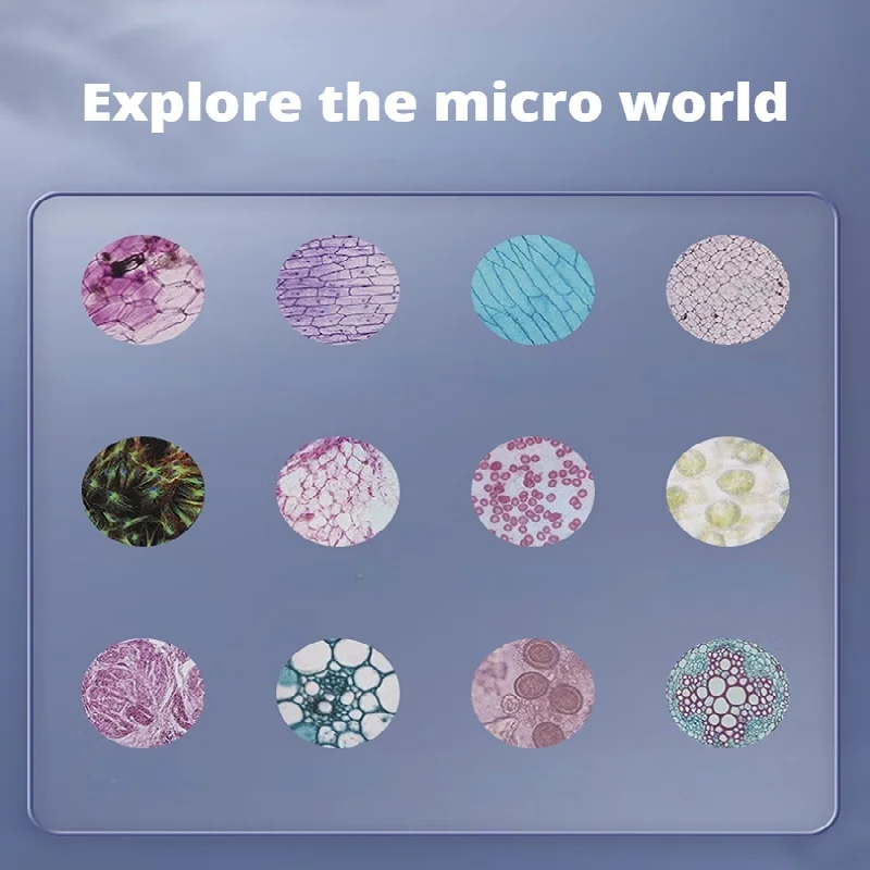 Novo Conjunto de Microscópio de Alta Definição para Explorar as Maravilhas da Ciência - Perfeito para Alunos do Ensino Fundamental!