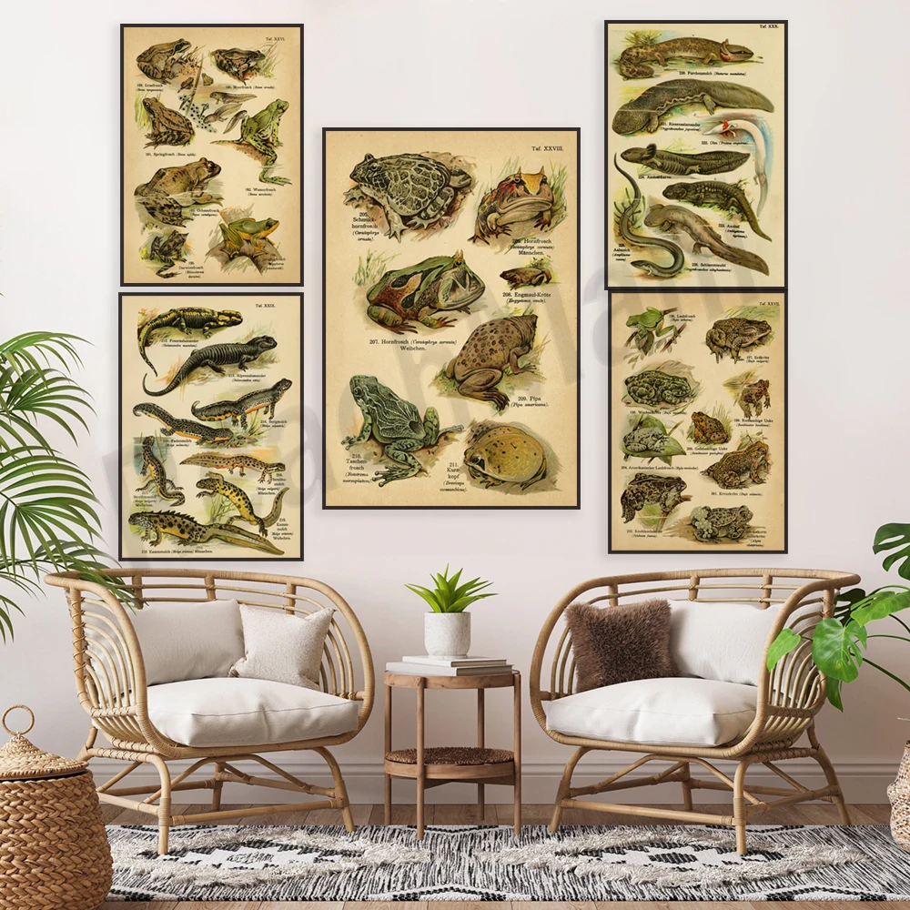 August Schleyer's Marsh Frog, European Tree Frog, Green Toad, Argentine Horned Frog, Japanese Giant Salamander vintage poster