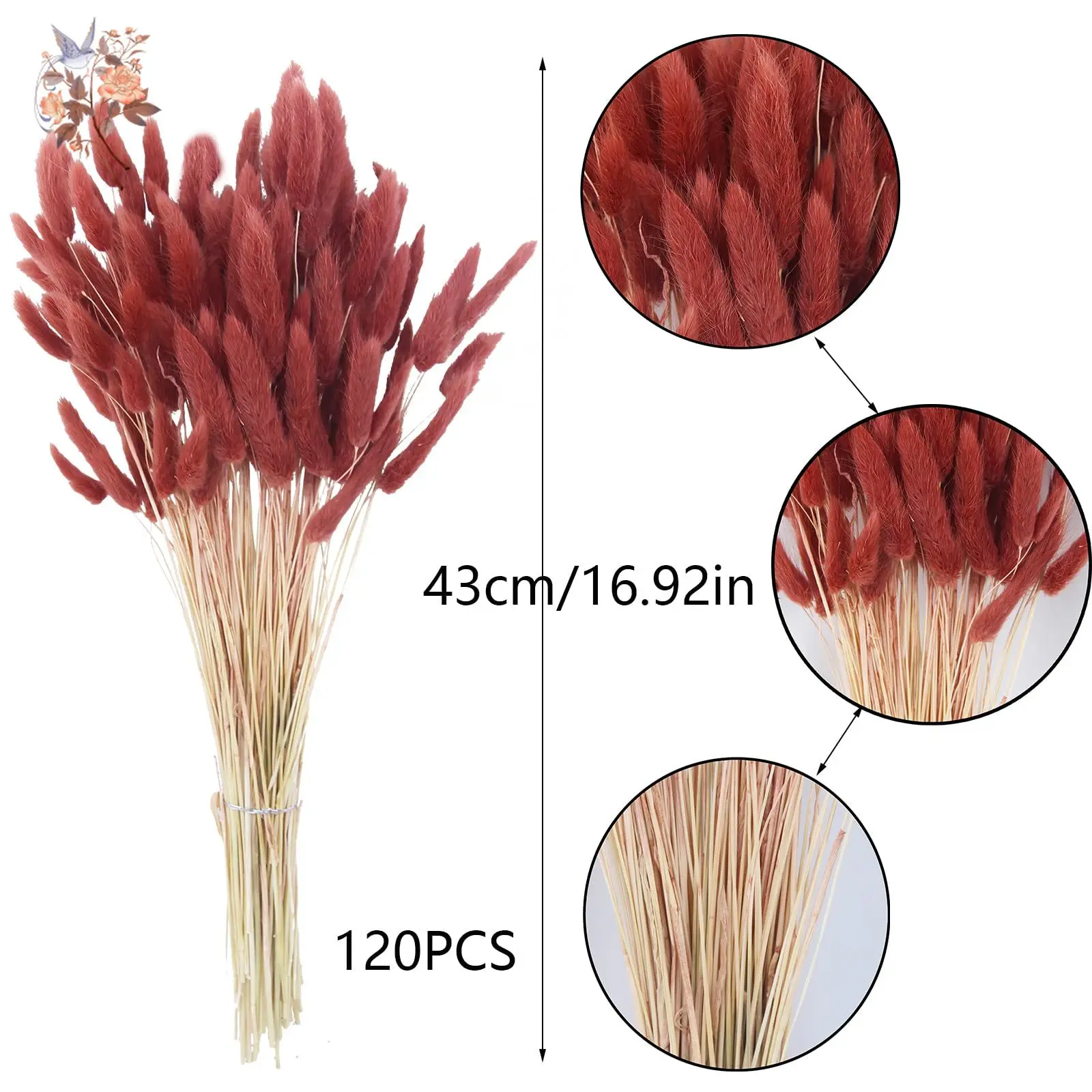 120pcs Dried Bunny Tails Flowers Lagurus Ovatus Natural Floral Arrangement Boho Decor Home Wedding DIY Farmhouse Table Christmas