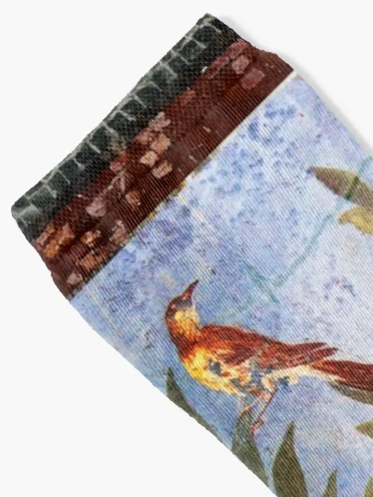 ANTIQUE ROMAN WALL PAINTING Flower Garden Flying Birds Over Quince Trees Socks new in's loose Luxury Woman Socks Men's