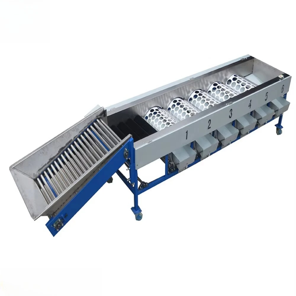 Dragon Fruit mango Washing Selecting Grading Machine Tomato Selection Machine Pitaya Avocado Picker
