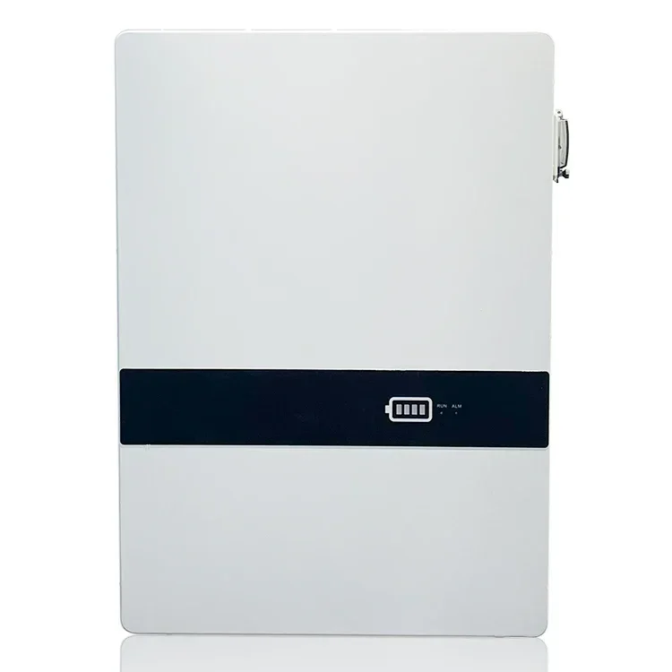 Boîtier de chargeur de batterie Lithium-Ion mural 51.2V 50Ah 100Ah 200Ah, batterie solaire Lifepo4 au Lithium Phosphate avec BMS