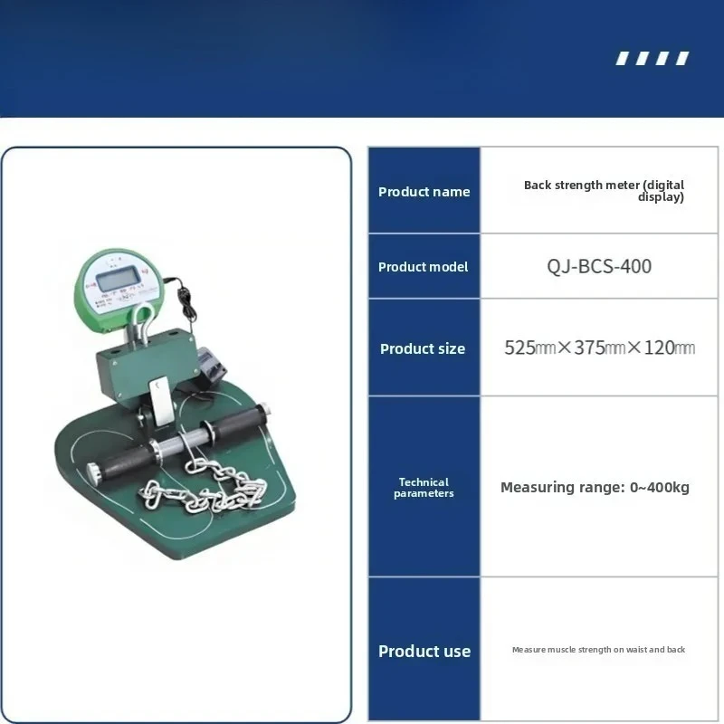 Electronic display training equipment measurement of lower back muscle strength