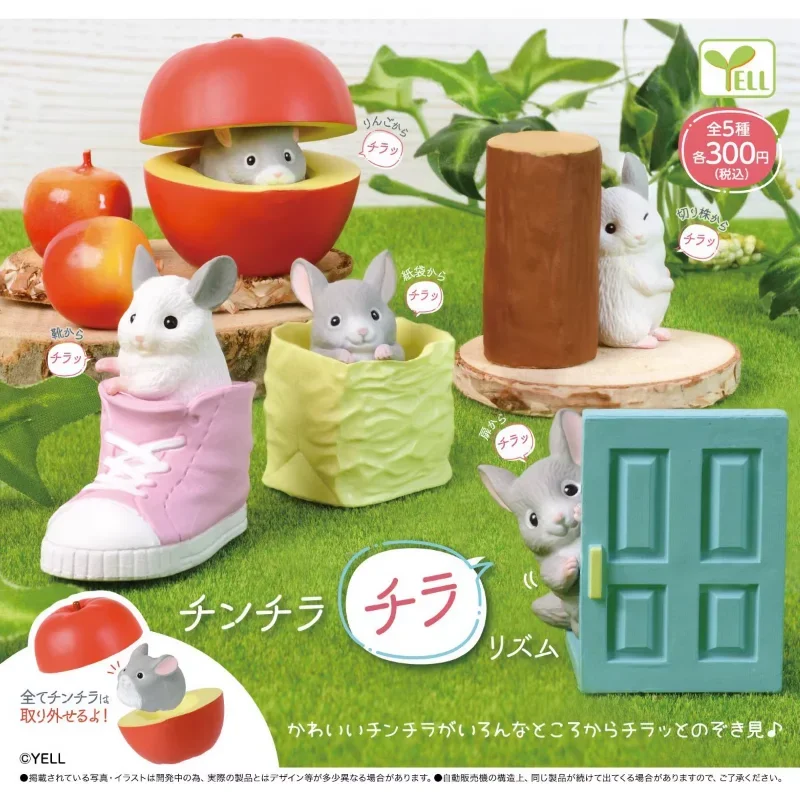 

YELL Gashapon Kawaii Figure Hide Cat Chinchilla Miniature Scene Model Cute Anime Figurine Capsule Toys Gifts