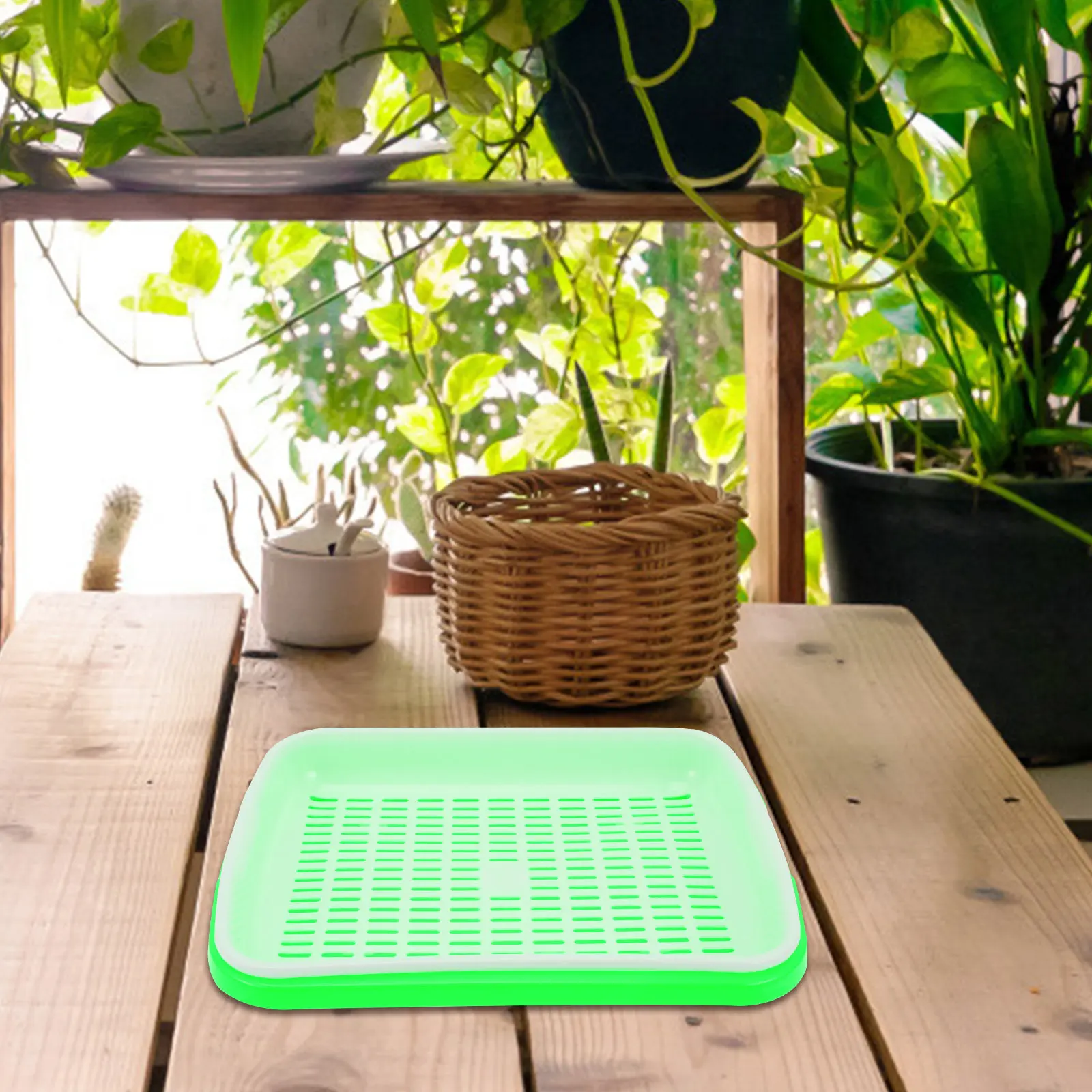 1Set Sprout Tray Plastic Multi-Layer Storage Tray for Seed Germination Vegetable Starter Home Garden Supplies Wheatgrass Grower