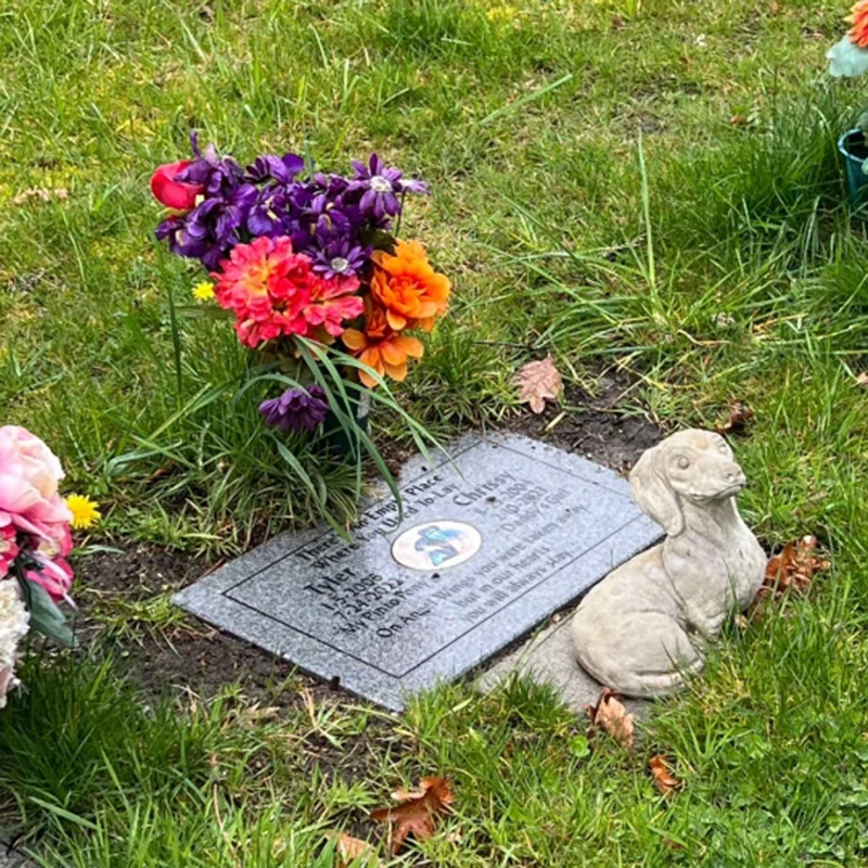 

Изготовление на заказ, прямые продажи с фабрики: современные надгробия для животных, гранитные надгробные плиты.