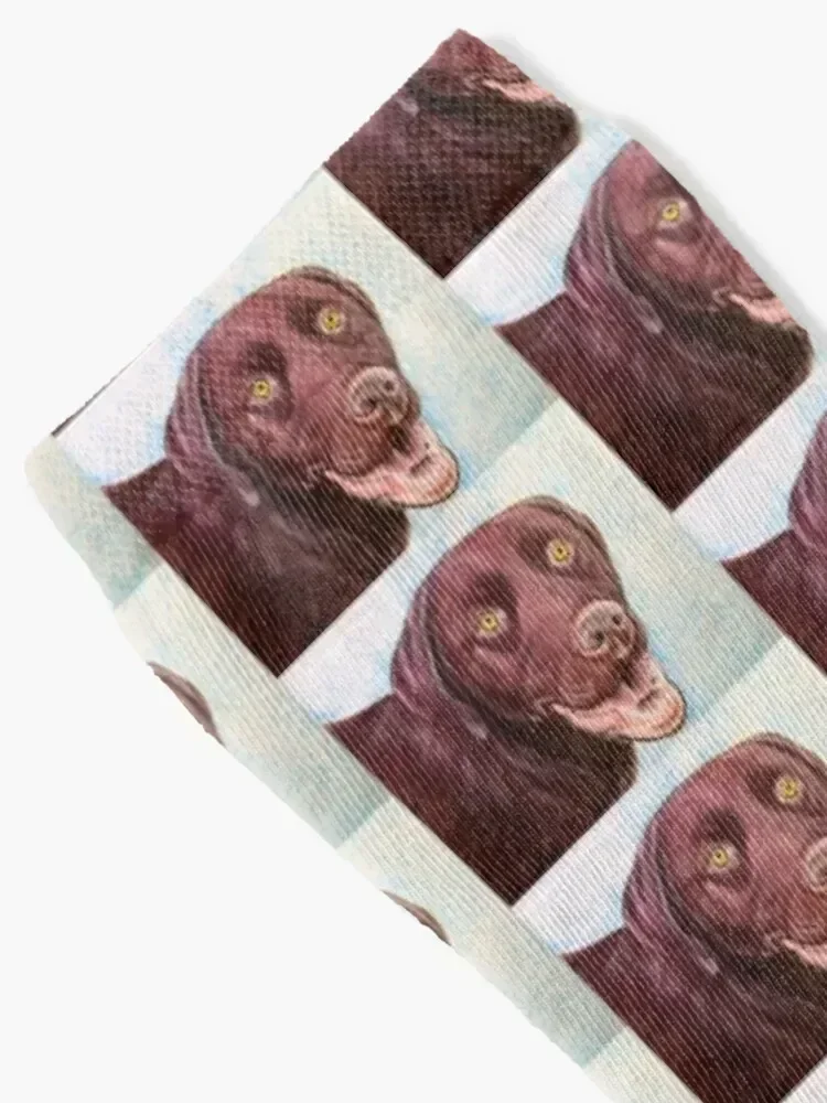 Chocolate Lab Socks cotton Stockings floor christmass gift Luxury Woman Socks Men's