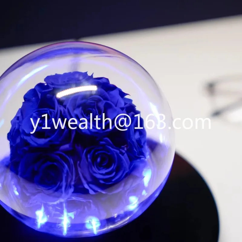 

Floating Eternal Rose Versatile Floral Universal Magnetic Levitation for Festivals Floating Eternal Rose Magnetic Levitation